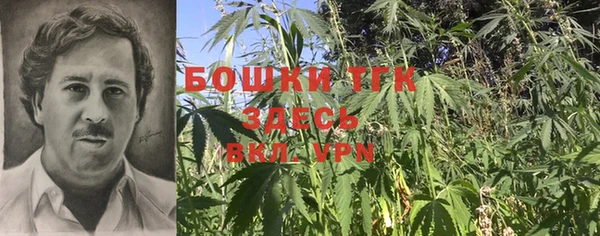 винт Армянск