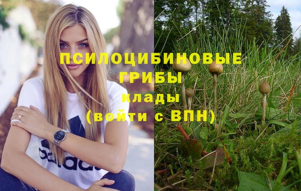 амф Алексин