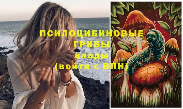 метадон Елизово