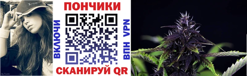 купить наркотики цена Бавлы Канабис гибрид